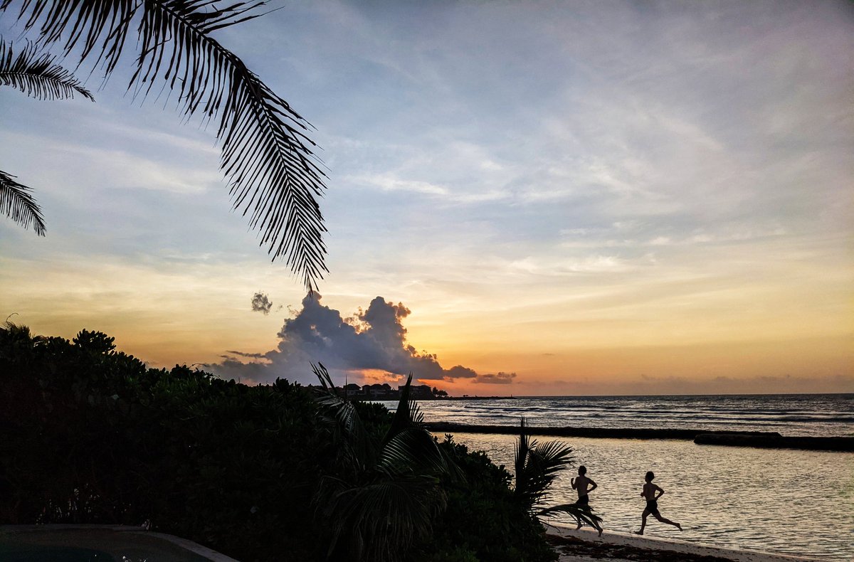 tzhen's tweet image. shadowy super-runners thru the dark forest 🏝️

gm #flashbots ⚡🤖