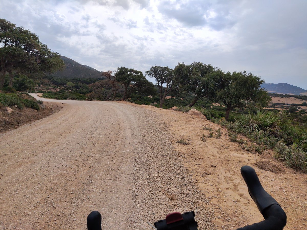 viciosport's tweet photo. Todo el verano lloviendo en Donosti, me voy a Teruel con la bici y me caen chuzos de punta, ahora me vengo a la costa gaditana y empieza a llover.
Por la manutención y alojamiento, me ofrezco para llevar agua allá donde la necesiten. https://t.co/x5UdACI1GF