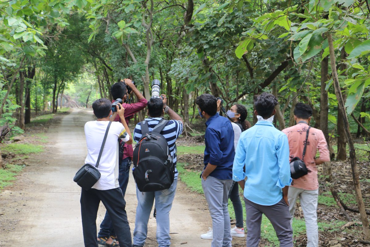 CZA_Delhi's tweet photo. #Week27 @AmritMahotsav #conservation2coexistence campaign highlighting "Asiatic Lion" commenced at @directorsbz with a photography contest within the zoo premises for registered participants! #Indiaat75 #75species75zoos @moefcc @GujForestDept @PIBAhmedabad @GujaratTourism https://t.co/EXwEqBHdbh