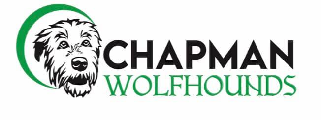 Chapman PTO tweet media