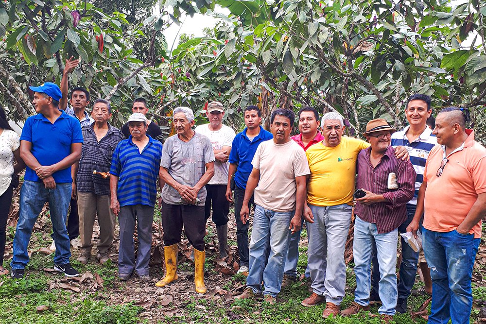 Urgent: donations needed to transforms the lives of family farmers - mailchi.mp/bananalink/urg…