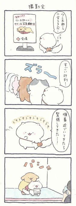 4コマ漫画「撮影会」 