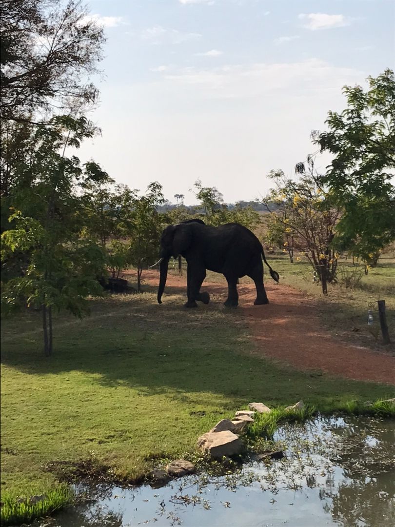 Short holiday to #Kafue National Park in 🇿🇲. #VisitZambia @TourismZambia