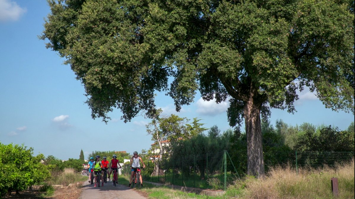 samarucdigital's tweet photo. 💚 Estimem el territori i creiem fermament en la importància de l'educació i la divulgació ambiental 💚
🚴♀️ Avui hem pedalejat per la Marjaleria, gaudint del tàndem @Itinerantur 🔄 #Samarucdigital
🎥. Ben aviat publicarem el vídeo de la ruta en la nostra secció #EntreCamins https://t.co/ggXmuuX8wd