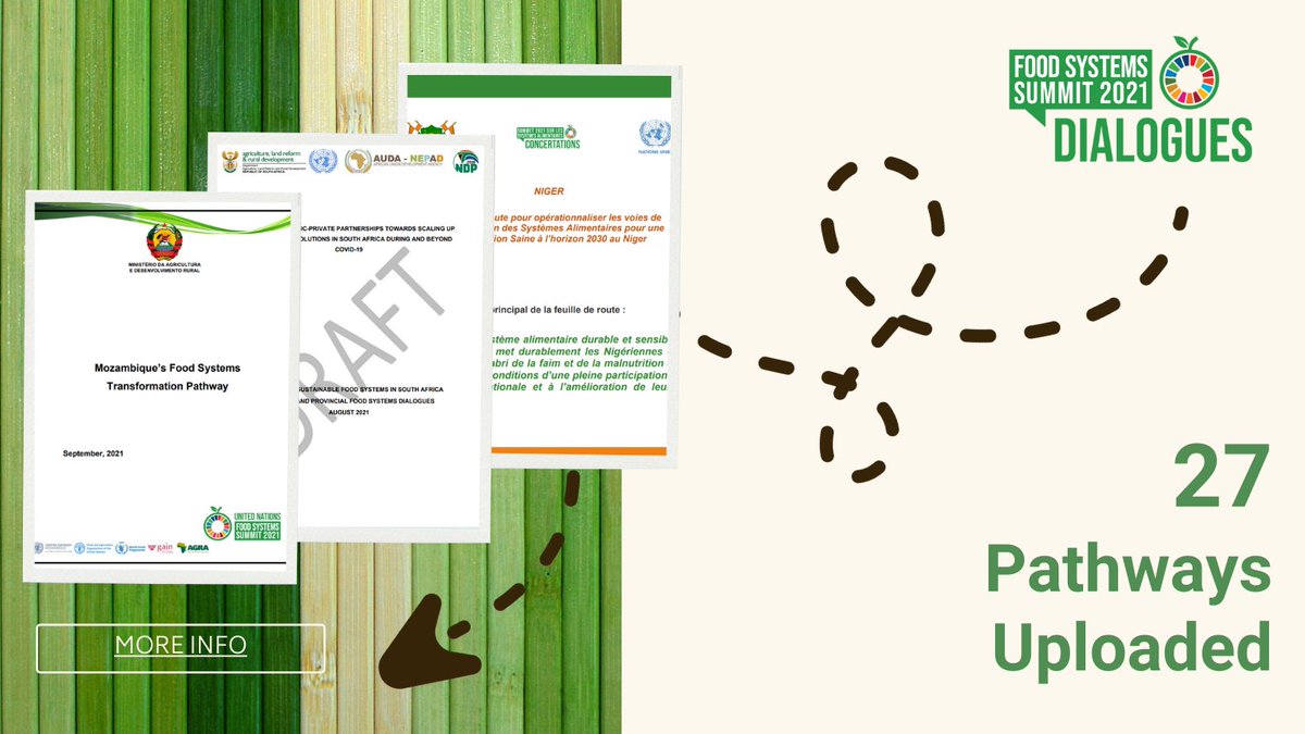 Ahead of <a href="/FoodSystems/">UN Food Systems Coordination Hub</a> Summit, Ireland has shared its national pathway for food systems transformation 🇮🇪🇺🇳summitdialogues.org/wp-content/upl…