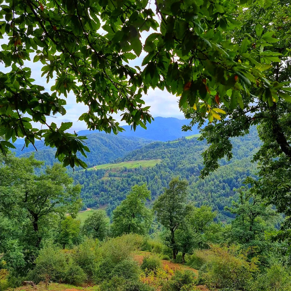 Lerik rayonu, Hamarmeşə kəndi 💚

#exploreAzerbaijan