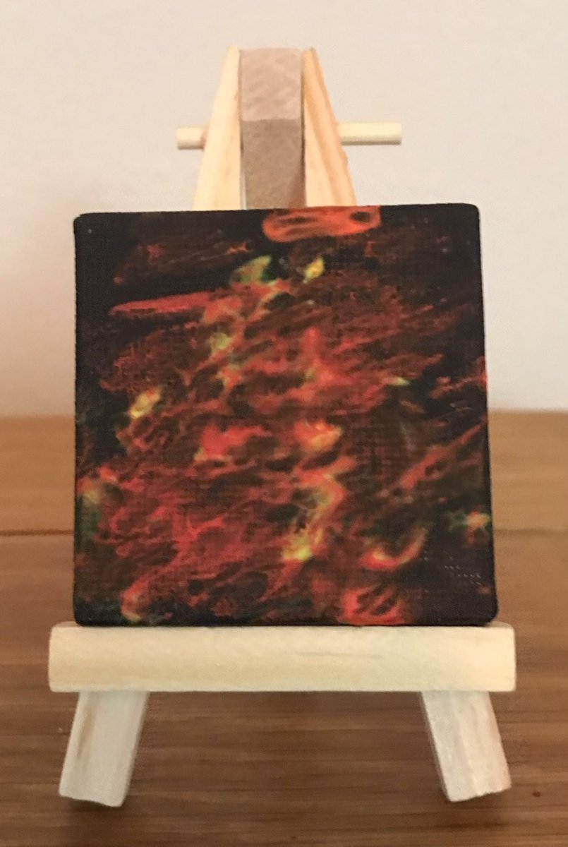 Small_Frames_'s tweet image. Firestarter

#SmallFrames #DreamBig 💖