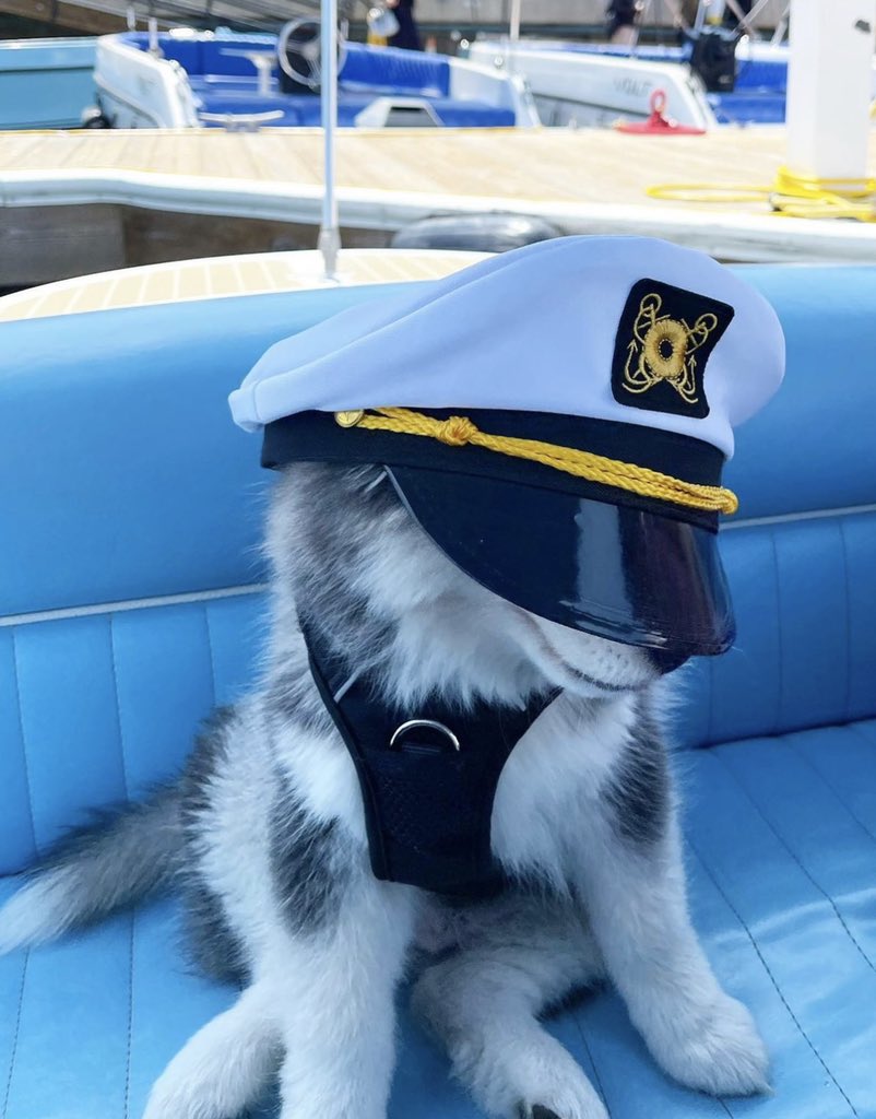 This is Brixton. He’s the captain now. A little embarrassed because he already misunderstood the purpose of the poop deck. 12/10 happens to the best of us