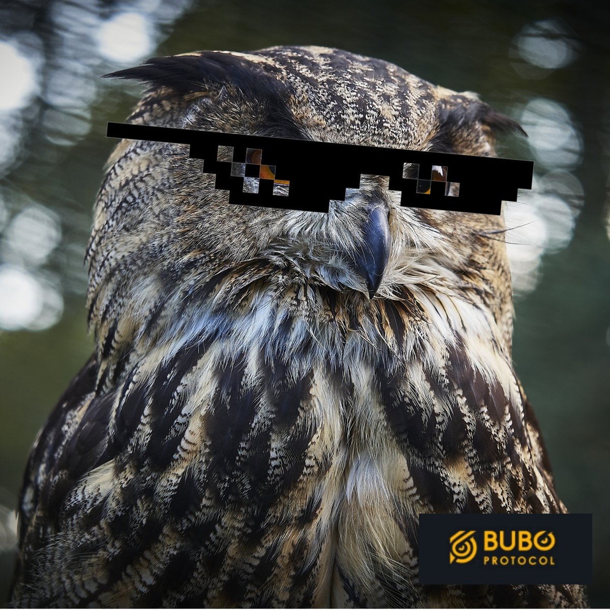 El mejor #SmartContract está cerca... #Bubo is cooming