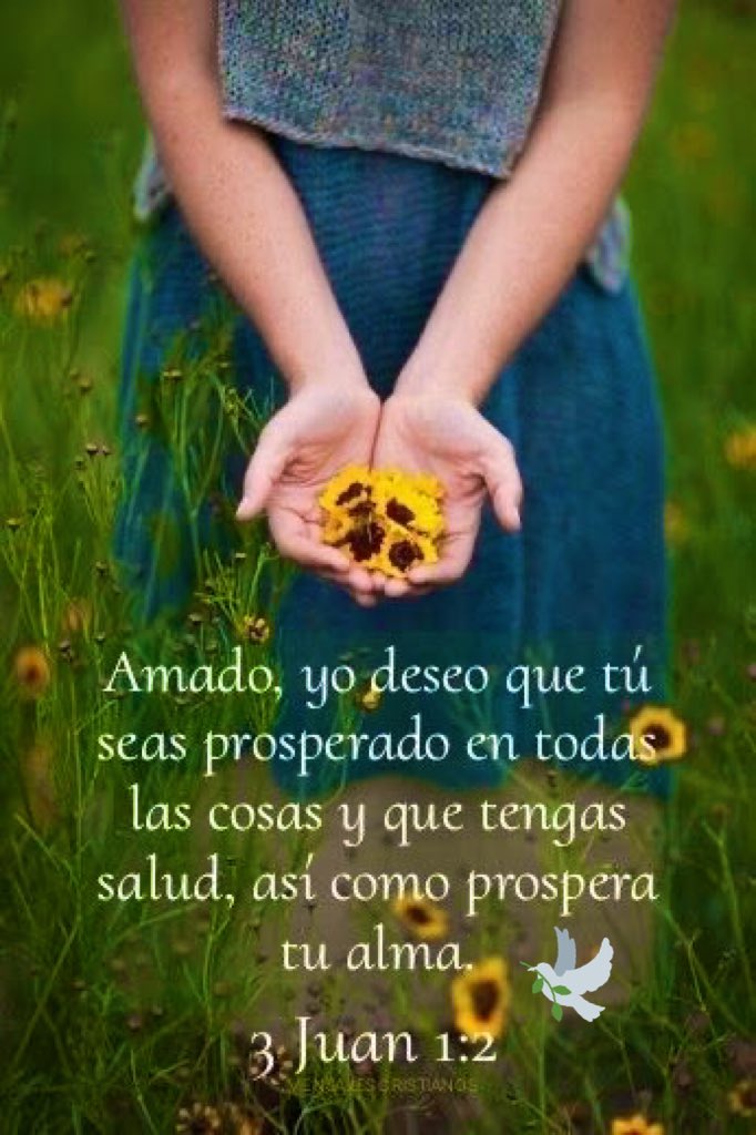 LivMartin27's tweet photo. @zeniapp Las recibo y te abrazo muy fuerte con todo mi corazón princesa! Dios es bueno!!🙌🏻💞🤗… https://t.co/BXxgxHQoaB
