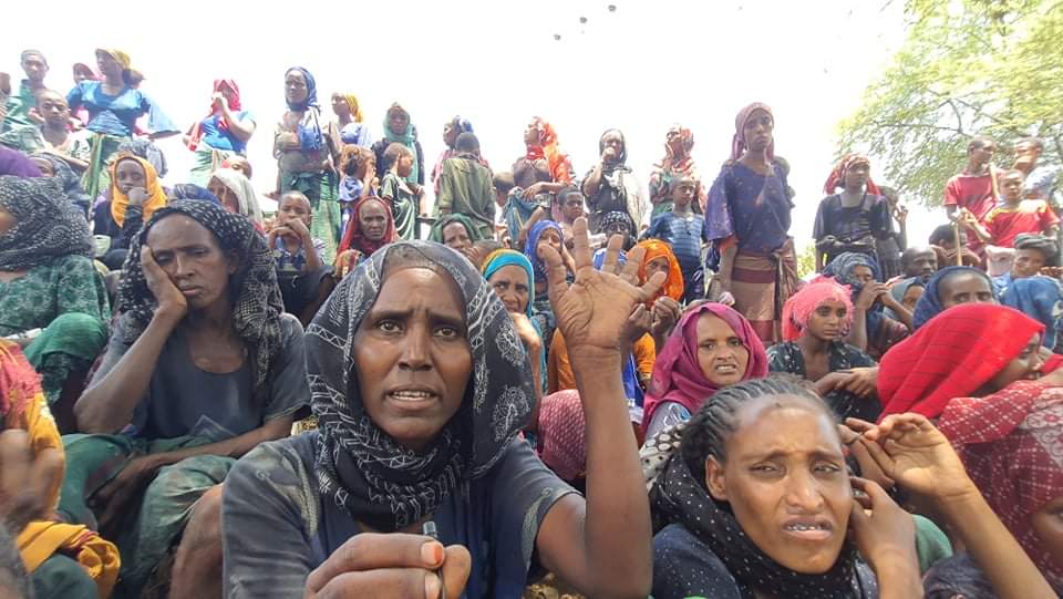 SuleimanAbdell7's tweet photo. ሦስተኛው መልዕክት ነው በርቱ
Civilians in north Wollo towns of Amhara Region are in complete darkness and under the control of Tigray rebels who have already committed #AgamsaMassacre  @amnestyusa @GerrySimpsonHRW @UN_HRC @SecBlinken @antonioguterres @USAmbUN
#WolloCantWait https://t.co/7QJIkC1Hix