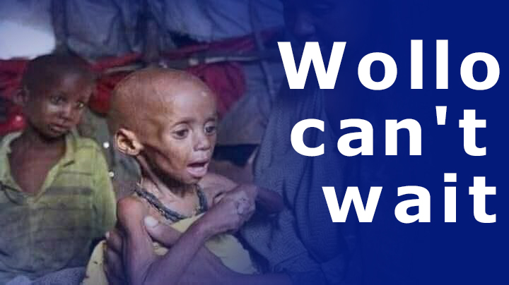 Golegota's tweet photo. Why is the catastrophic famine of displaced #Wollo #Amhara mothers &amp; children silenced? Why are children sentenced to death? #AidForAmharaIDPs 
@UNOCHA_ROSEA
@OCHASom 
@JosepBorrellF
@SamanthaJPower
@USAIDEthiopia
@Refugees
@UNICEFEthiopia
@UNICEF
@Refugees
@UN
@USAmbUN
@WFP https://t.co/NUQ6ebo9JS