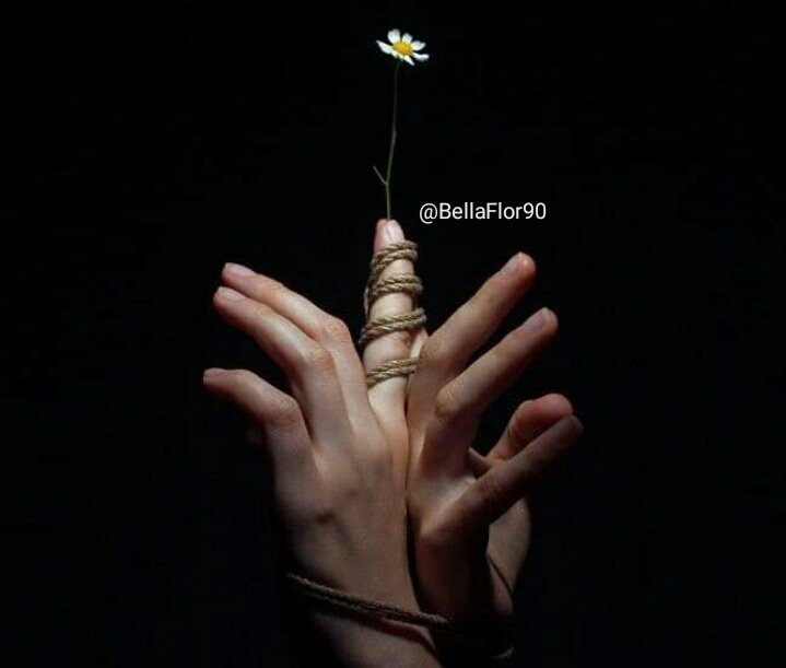 Para vivir con sensibilidad 
en esta vida, se necesita de 
una fuerza inimaginable.