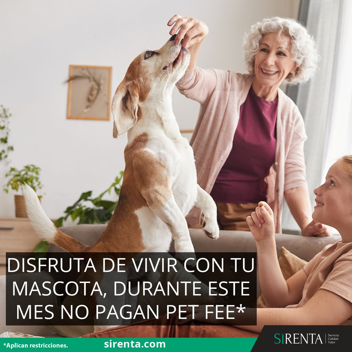 SiRentaMX's tweet photo. Con SìRENTA disfruta de vivir con tu mascota, ya que durante septiembre la cuota “pet fee” es GRATIS”*
💻 Visita nuestra página web 👉 https://t.co/bUVPIk6M2w 
*Aplican restricciones
#sirenta #quedaenbosquereal #quedateconsirenta #zonaponiente #rentabosquereal #vivirseguro #cdmx https://t.co/3Fk1iQISB9