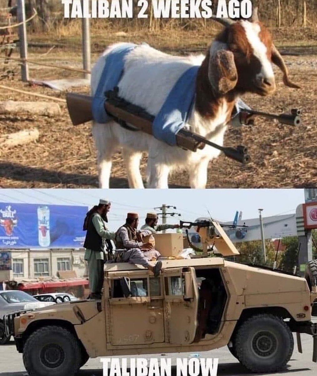 Luis Febre tweet media