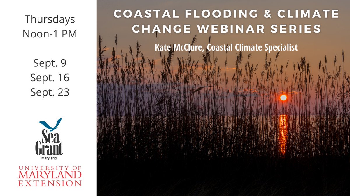 MDSeaGrant's tweet image. Next in this #webinar series w/@UMdExtension: Coastal Flooding Causes and Consequences

Learn about sources of coastal #flooding, including storms, rain, &amp;amp; sea level rise, and available tools for understanding your local flood risk!

Registration: go.umd.edu/coastalflooding