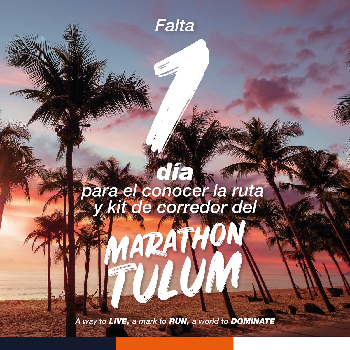 MarathonTulum's tweet photo. Ya solo falta 1️⃣ día para conocer la ruta oficial de esta experiencia deportiva que marcará la diferencia.
No te quedes fuera e inscríbete!!!
https://t.co/dA7J829TTu
#Tulum #QuintanaRoo #RunLive #Dominate #Run #Running #Runnners https://t.co/5TjyScnIHr