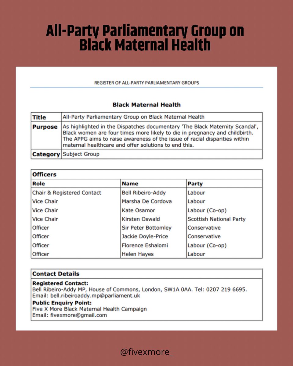 Pleased to officially launch the Black Maternal Health All Party Parliamentary group (APPG) today to mark our awareness week. The first meeting will be taking place in October. Thank you all the MPs who are a part of it and to <a href="/patchesgayle/">Elsie Gayle</a> for helping us provide the secretariat