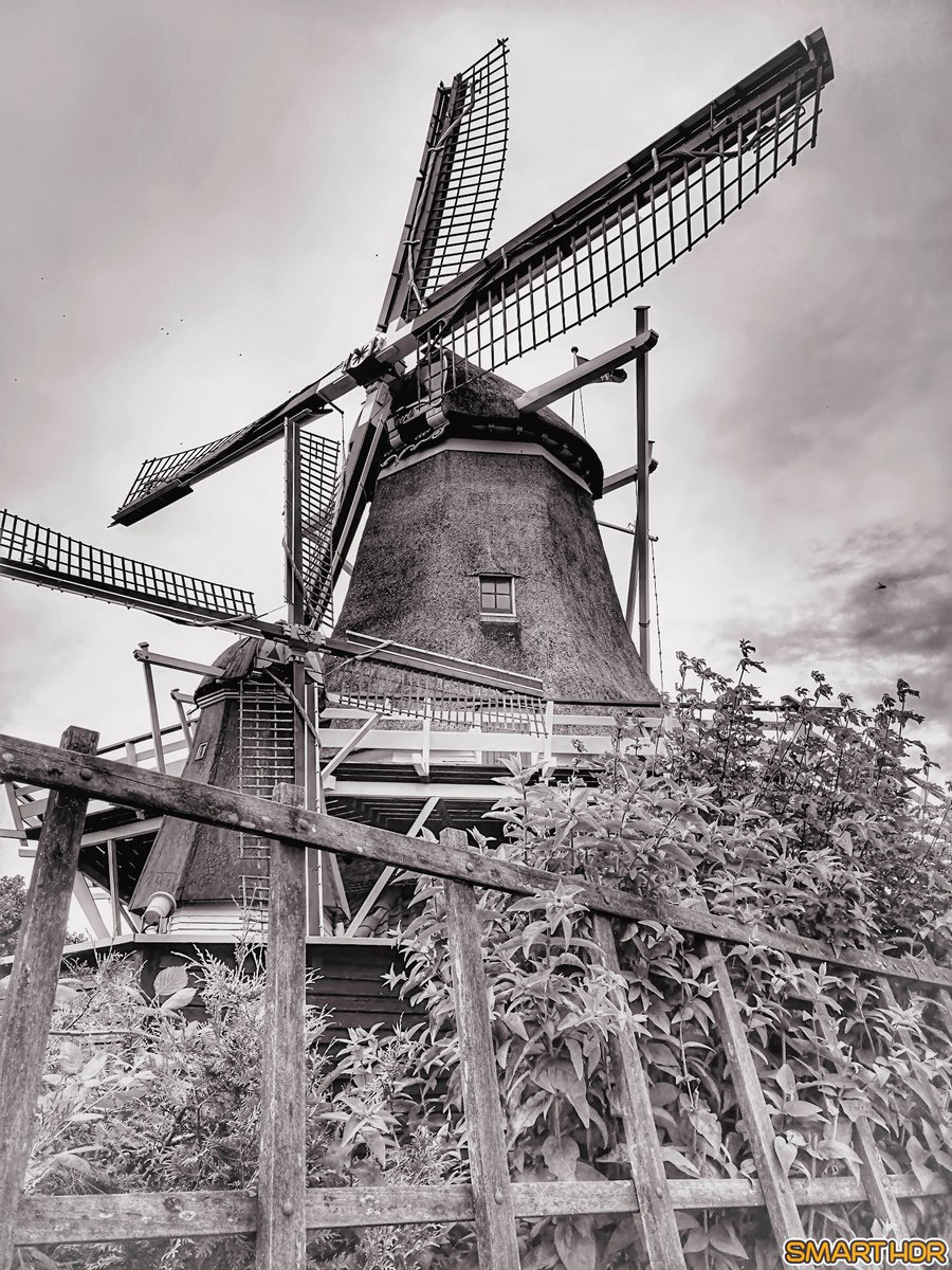 #zwartwit #blackandwhite #noirblance #zwartwitfotografie_nl #blackandwhitephotography #straatfotografie #streetphotography #molen #moulin #windmill #meppel #meppelcity #iameppel #meppeldiepgeluk #meppelcentrum #drenthe #mooidrenthe