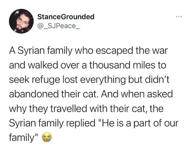WholesomeMeme's tweet photo. via @_sjpeace_ https://t.co/VY8hVtqddJ