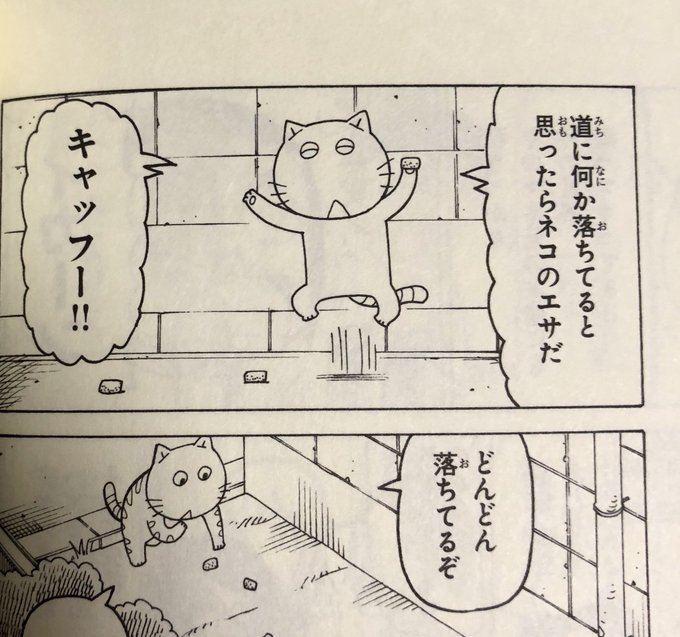 結構前のフルットなんだけど、自分で見返してて見つけたから言うけど、
これ「キャッホー」と「キャットフード」がかかってるの分かってる? 
