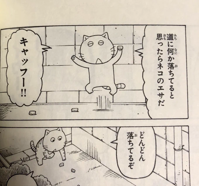 結構前のフルットなんだけど、自分で見返してて見つけたから言うけど、
これ「キャッホー」と「キャットフード」がかかってるの分かってる? 