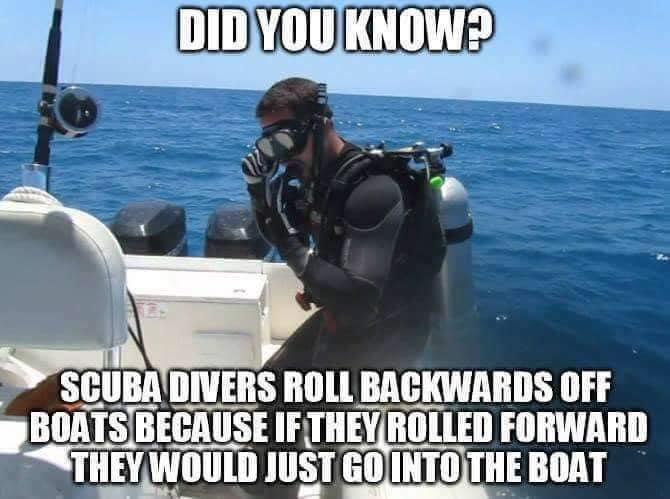scubaclubatutm's tweet photo. #scuba #scubafacts #utmscubaclub https://t.co/bEqu5a77Vd