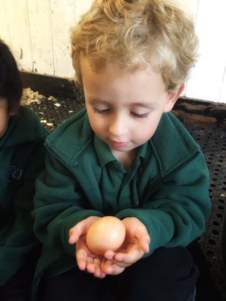 KESPreparatory's tweet photo. #StroudNursery loved Farm School today. The children enjoyed looking at different coloured chicken eggs and feathers from different birds. The highlight was visiting Clippy and Buttons, our Stroud ponies. #StroudDiscovery #StroudOutdoors #StroudCuriosity #StroudFarm https://t.co/7VrZtZbvbh