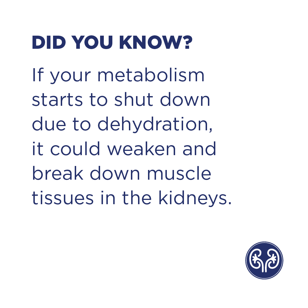 IowaUrology's tweet photo. If your metabolism starts to shut down due to dehydration, it could break down muscle tissues in the kidneys. Weakness, nausea, or changes in urination frequency are signs you may be suffering from a kidney condition. 
Give us a call at 515-400-3550 to schedule an appointment! https://t.co/ogTwSjmaCP