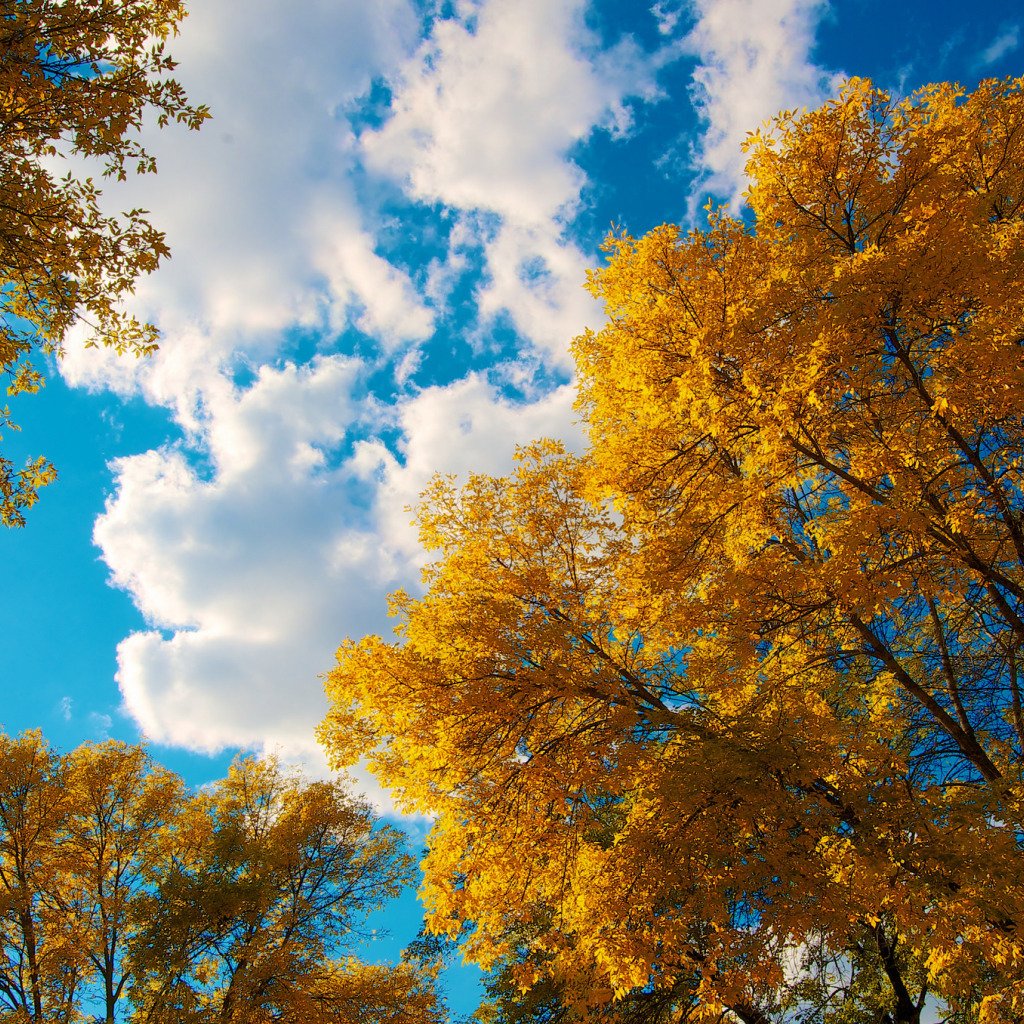 Осень небо солнце. Красивое осеннее небо. Сентябрь под небом сентября. Фото осенью на природе 2021. Переменная облачность осень.