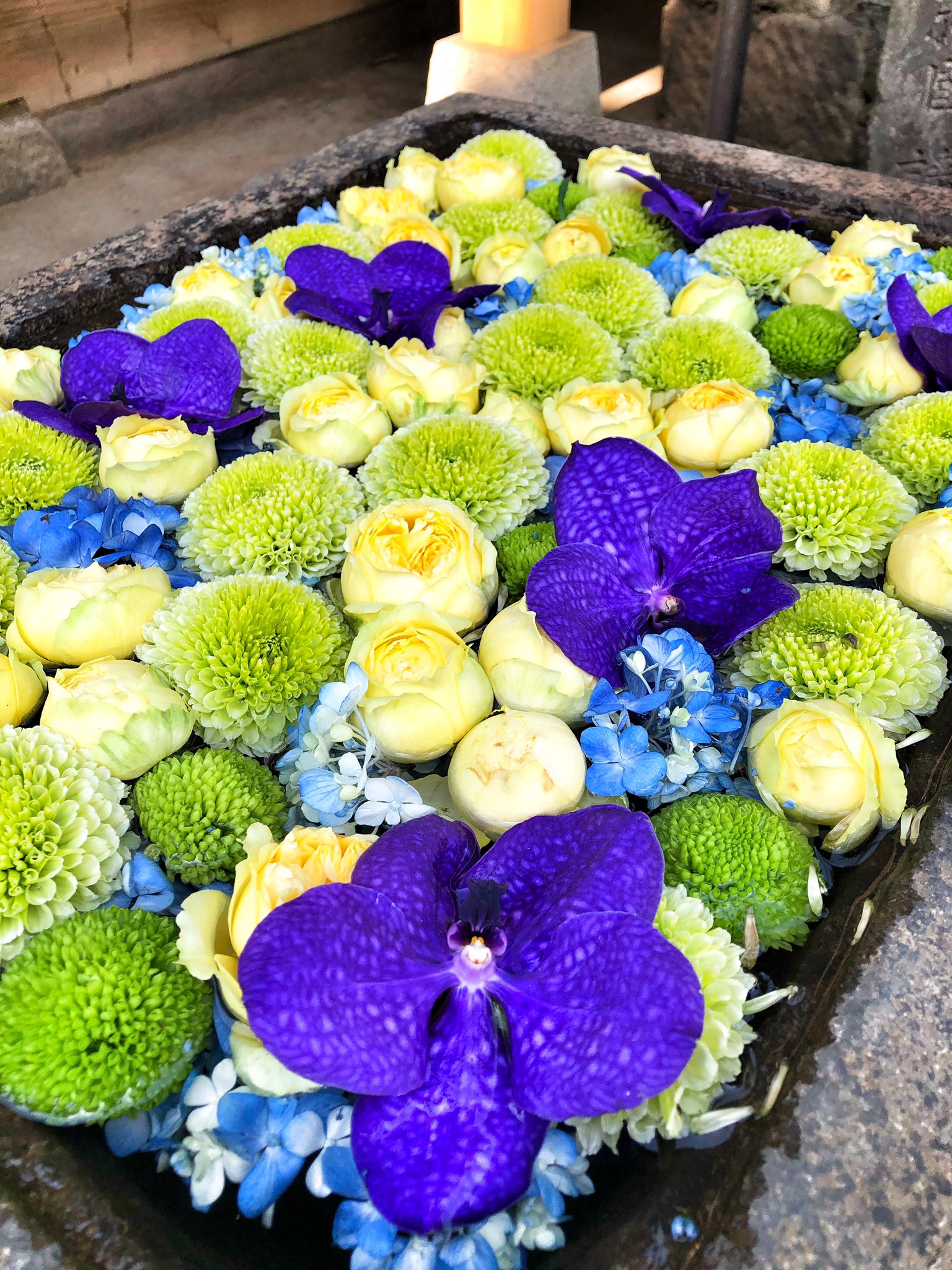 Terra 先週から花手水を始めたと聞いて 日暮里駅からほど近い谷中観音寺へ 赤穂義士ゆかりの寺と知られ 境内には四十七士の供養塔が 門をくぐると右手に小さな手水鉢 菊 薔薇 紫陽花などが静かに浮かぶ 穏やか花手水 花手水 谷中 谷中