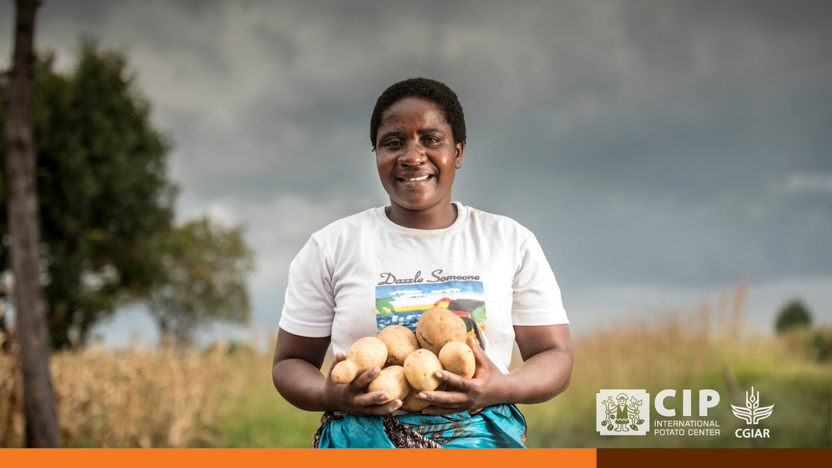 Cipotato's tweet photo. "This year, it is critical moment on global action on #foodsystems. Our partnership with @Cipotato  is critical in what we will bring to the table."
@Irish_Aid DG @oldkil

#CIP50 #FoodNutrition #OneCGIAR @RTB_CGIAR https://t.co/PFJZO7xqwK