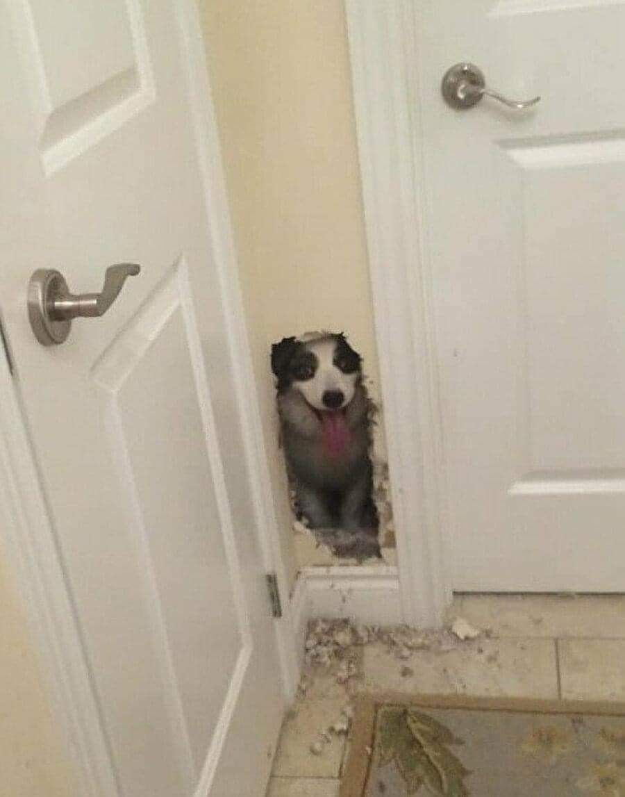 You rang?