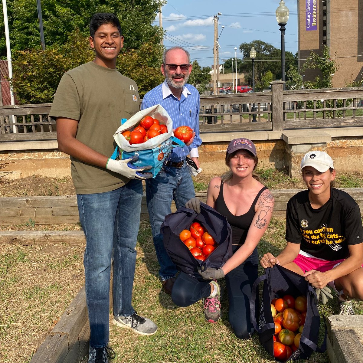 I had the pleasure of witnessing <a href="/KansasCityU/">Kansas City University</a>'s largest community garden harvest of the year – 277 pounds!

Thank you to everyone who has helped with harvests this season. All produce is donated to the food pantry at Della Lamb Community Services here in #KansasCity.