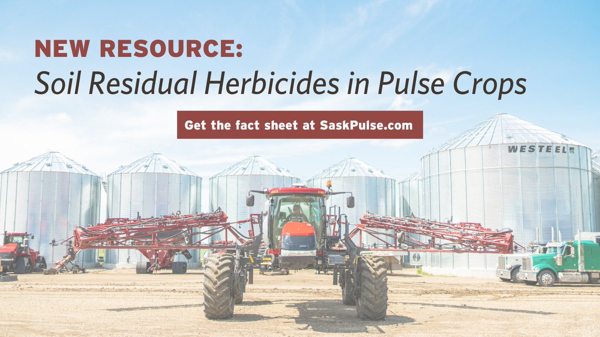 SaskPulse's tweet photo. Soil residual herbicides provide different modes of action that are critical for managing herbicide-resistant weeds. Read our new fact sheet to learn how soil residual herbicides can be your pulse crop’s first layer of defense against weeds: https://t.co/gQDVl29jfX #AgTwitter https://t.co/WHh4uvJVEe