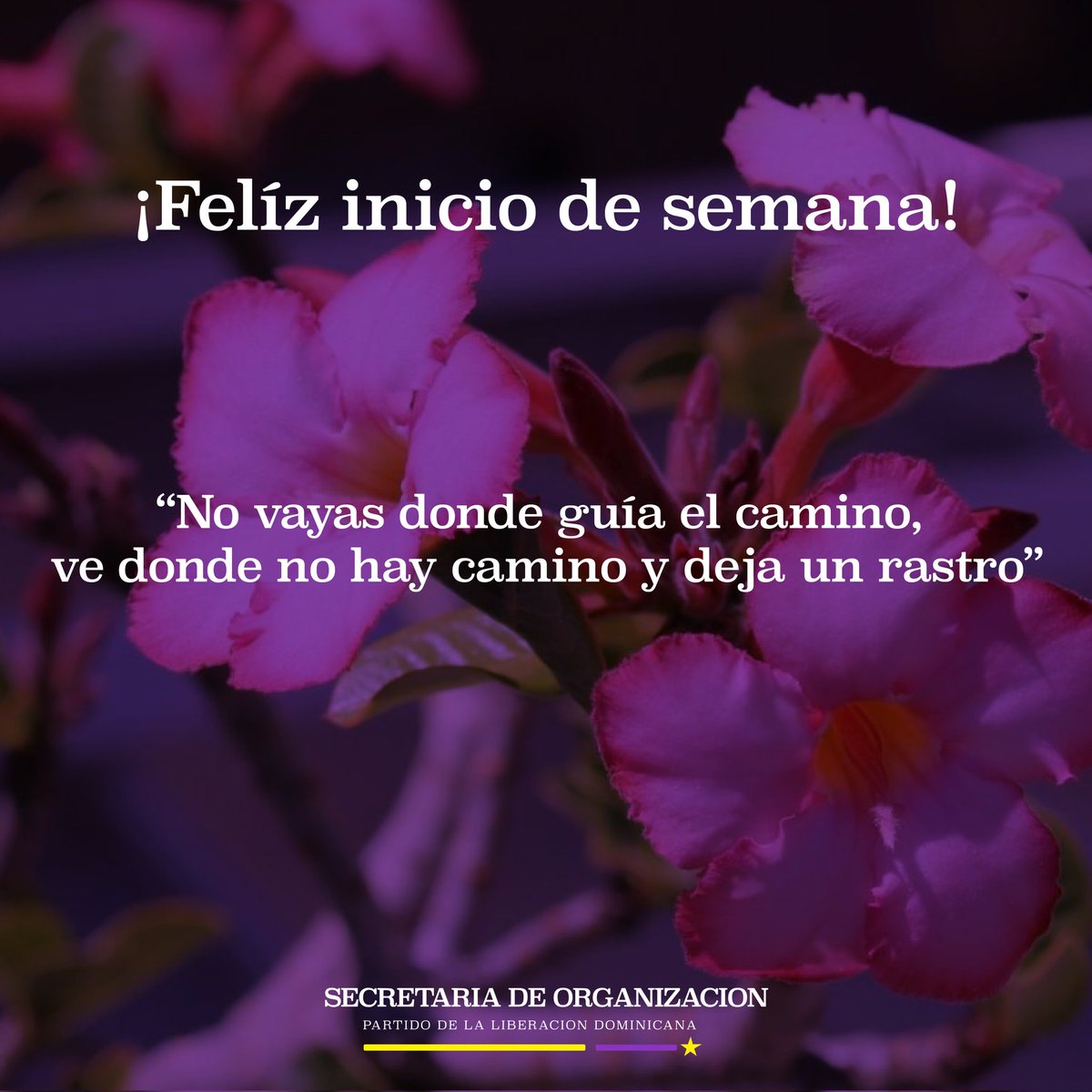 PLDORG's tweet photo. Desde #SOPLD te deseamos excelente inicio de semana, y que el sol brille sobre tu día cómo la estrella amarilla⭐

#Buenosdias #SOPLD #IniciodeSemana https://t.co/MKszGrHRUS