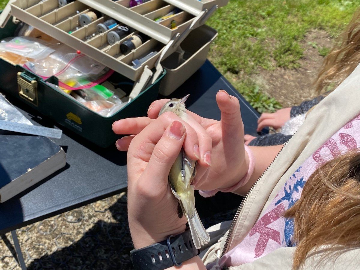 Just twelve days til Great Outdoor Weekend! Come spend a day with our scientists learning about birds, plants, and streams up close and personal at the UCCFS from 10-2 on Saturday, September 25!

#GreatOutdoorWeekend #MiamiWhitewater #GreenUmbrella #NatureWalks
