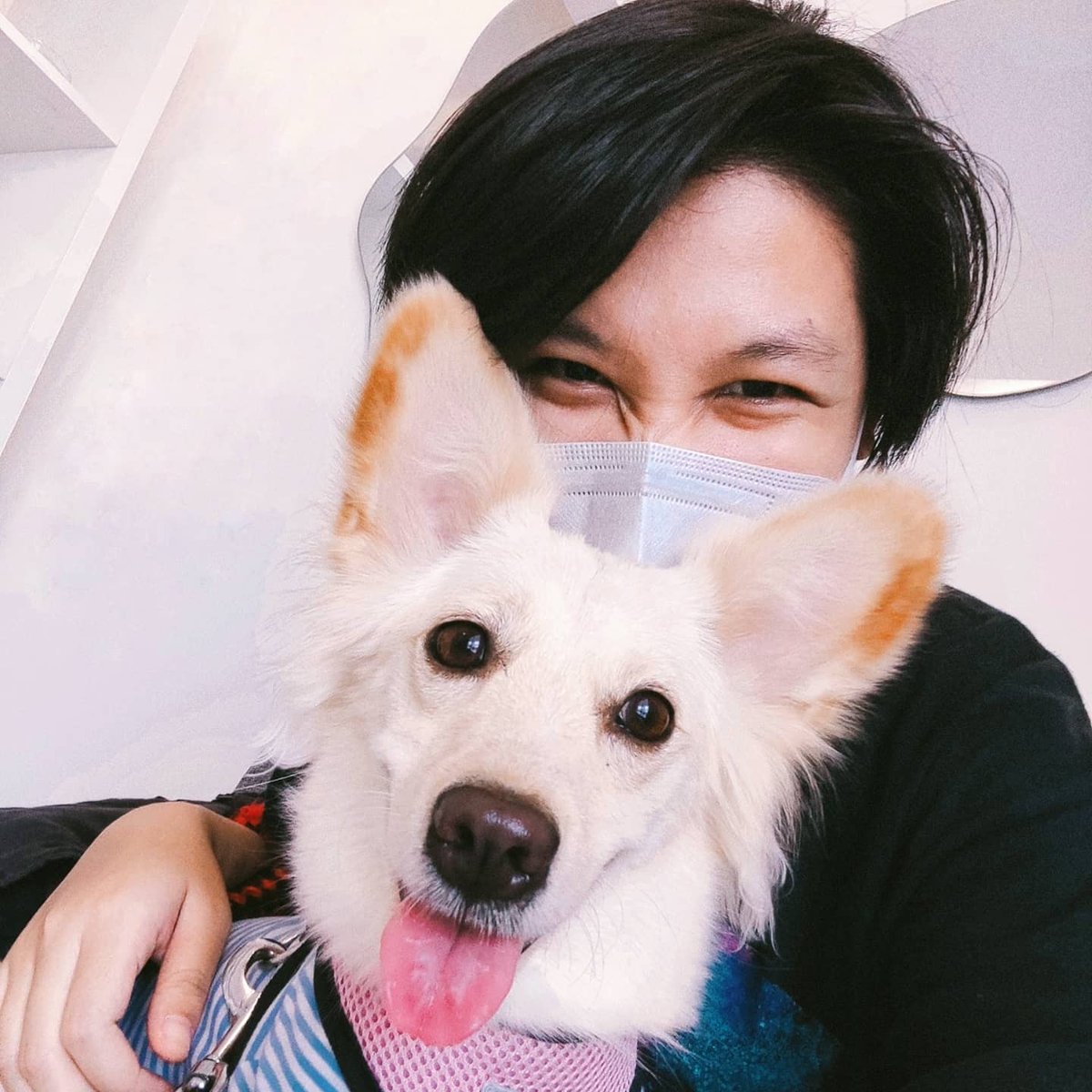 Bakal kangen gulung-gulung rebutan bola sama Bembi. Thankyou, Bem sudah menemani di titik terendah hidupku. Skrg waktunya Bems main bola di surga tertinggi