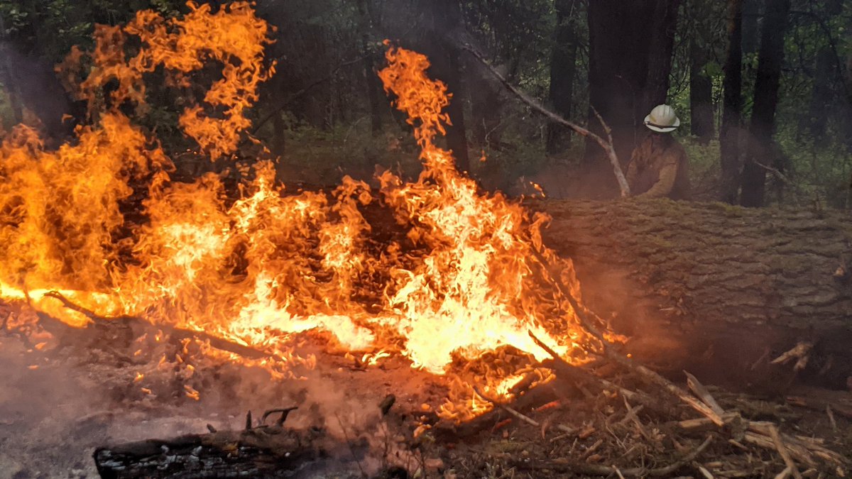 adam_warwick's tweet photo. long ride home from #ENGB assignment on @WallowaWhitman. Got to spend 5 days on a fire in #EagleCapWilderness. Really great people with @ForestServiceNW and @ORDeptForestry. Can't wait to get back; and get WW staff down to help us Appalachian #rxfire @Jetboil @aeropress https://t.co/IOaHxoWKKV