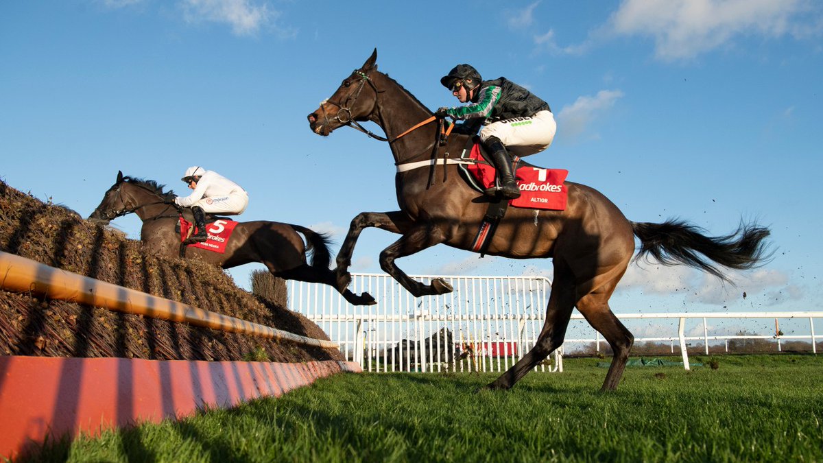 RacingPost's tweet photo. Altior - what a career! 

🐎 26 starts
🥇 21 wins
⭐️ 10 Grade 1s
💰 £1,320,795 career earnings
🏆 4-time Cheltenham Festival winner
🔥 Jumps placings: 13/611111/111111/111/11111/21/22-

Happy retirement, legend! 🖤💚 https://t.co/ogZfua7Q3D