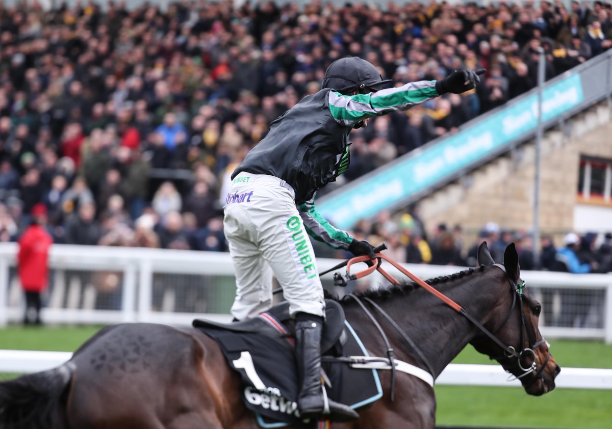 RacingPost's tweet photo. Altior - what a career! 

🐎 26 starts
🥇 21 wins
⭐️ 10 Grade 1s
💰 £1,320,795 career earnings
🏆 4-time Cheltenham Festival winner
🔥 Jumps placings: 13/611111/111111/111/11111/21/22-

Happy retirement, legend! 🖤💚 https://t.co/ogZfua7Q3D