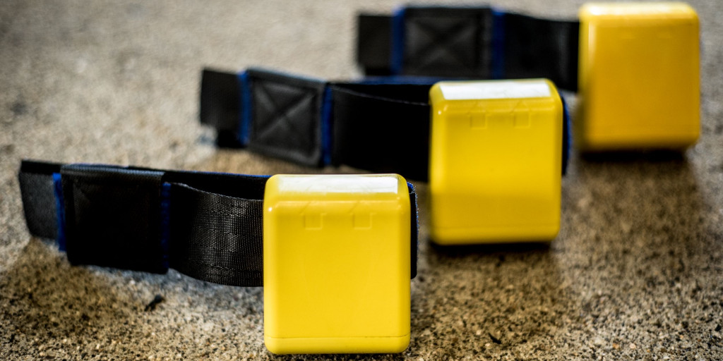 UKDairyDay's tweet image. Exhibitor Press Release: Enhanced functionality of monitoring system will benefit a herd’s fertility performance and health.
@Ice_Robotics #ukdairyday #dedicatedtodairy
ukdairyday.co.uk/welcome/news/e…