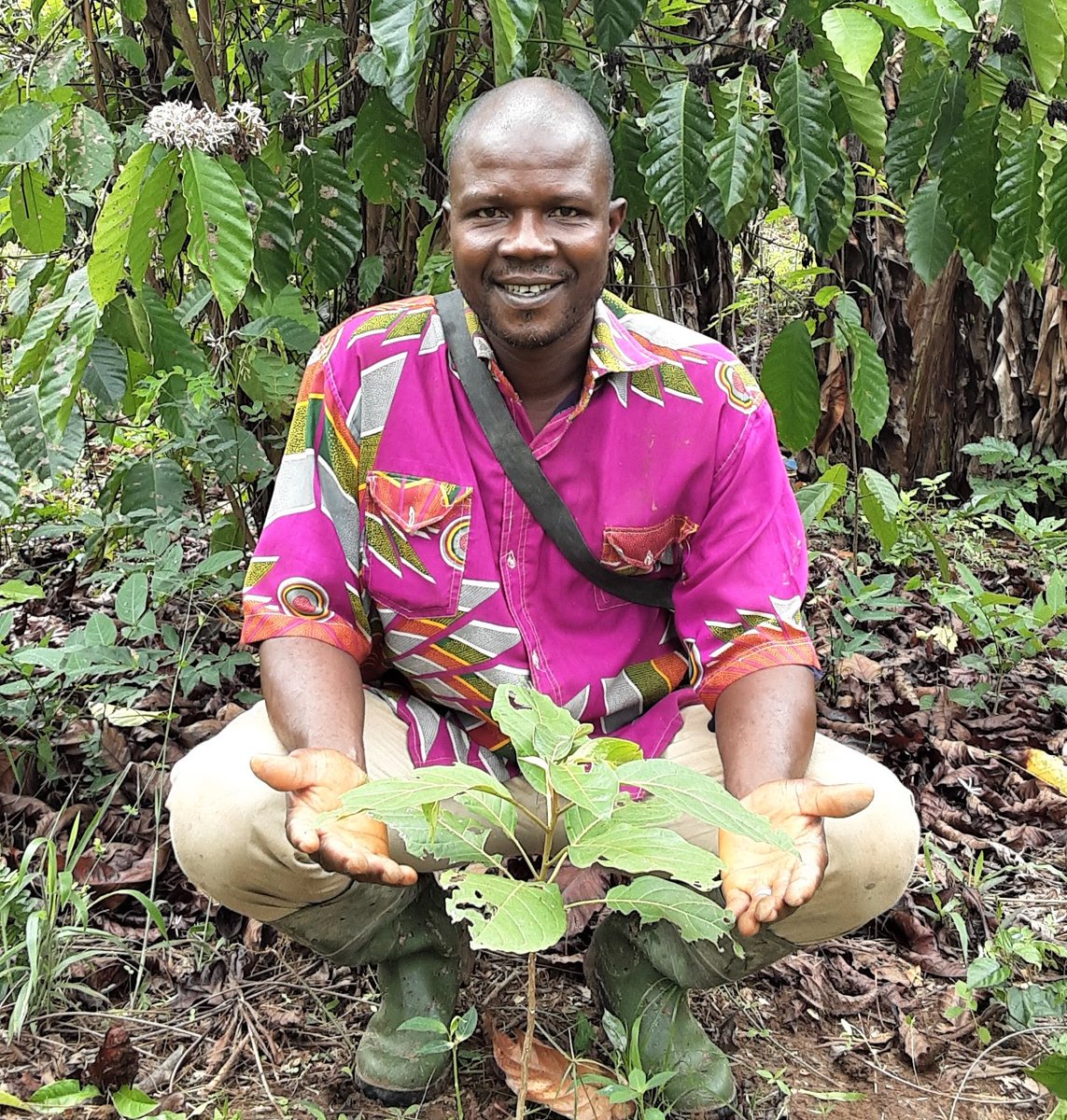 touton_group's tweet photo. Because inside every tasty chocolate, there is a carefully grown, transported, transformed bean 🍫 we celebrate today all those who make enjoying chocolate possible on #InternationalChocolateDay https://t.co/rEmhZz37gN