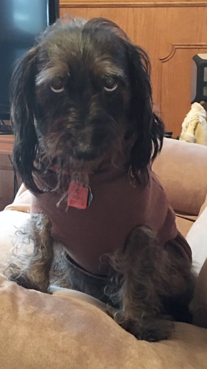Father:That’s it! 
Mother:This is about Stewart’s UPS interview?
Father:I’ve gotta take SensitivityTraining because HR asked about his weaknesses!Tell her your reply!
Me: I said“those gorgeous eyes.”
Mother:🤣
Father:He said I coached him!
Me:Hence his training.
Sincerely,Stewart