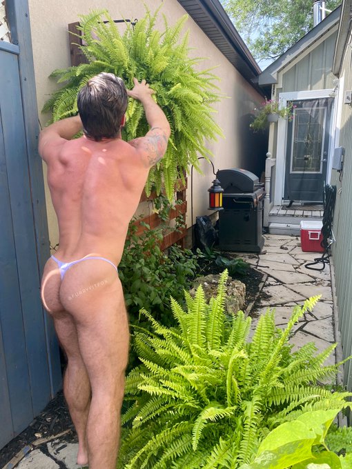 2 pic. Like my ferns? ??. G-String by @wearcoyote ?? @scallysex @thexxlmen @HotMaleStuds @GAYXXXBLOG