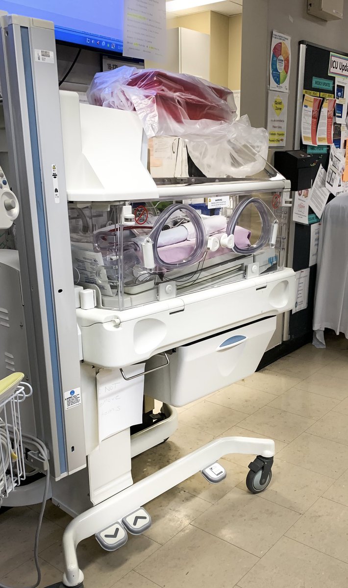 Stephen Lapinsky (@stephenlap) on Twitter photo Back on service in the ICU this week & what do I see (not in our unit since May) - neonatal resuscitation equipment! Ontario 4th wave is here, and pregnancy is a major risk factor!
Timely that <a href="/COVIDSciOntario/">COVIDScienceOntario</a> released our COVID in pregnancy document.
covid19-sciencetable.ca/sciencebrief/t… Back on service in the ICU this week & what do I see (not in our unit since May) - neonatal resuscitation equipment! Ontario 4th wave is here, and pregnancy is a major risk factor!
Timely that <a href="/COVIDSciOntario/">COVIDScienceOntario</a> released our COVID in pregnancy document.
covid19-sciencetable.ca/sciencebrief/t…