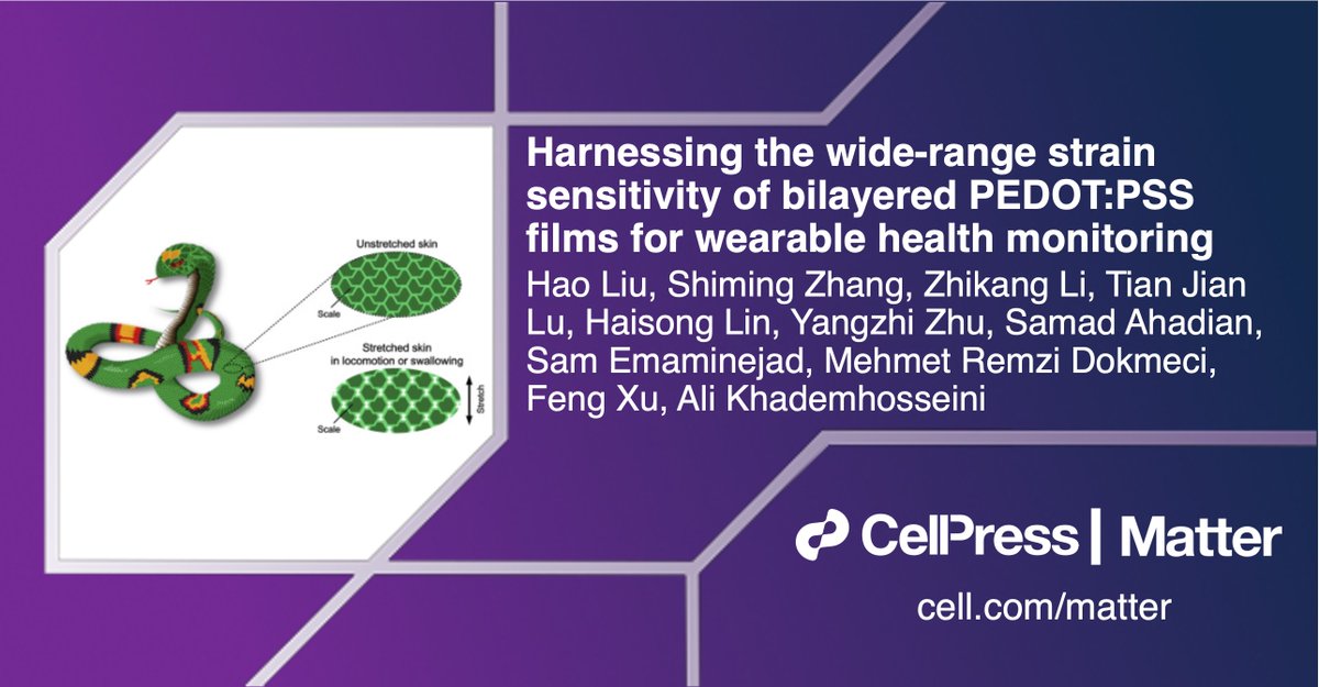Matter_CP's tweet photo. 🐍 @khademh & colleagues develop a snakeskin-inspired film for wide-range #strainsensing and health monitoring in #MatterIssue27. 🐍 @UCLA @TerasakiInst @jluoled @HKUniversity
Check it out: https://t.co/VtAObrQPMI https://t.co/7Ka7kLNyCN