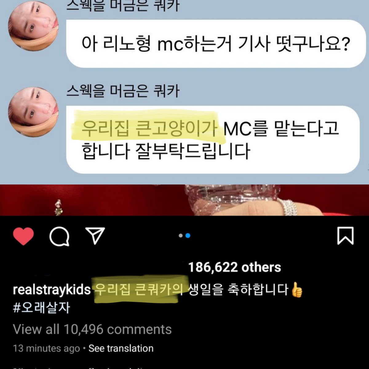 minsungsource's tweet photo. han calling lee know 'our house's big cat' &amp; lee know calling han 'our house's big quokka' 😭 https://t.co/5tHzzCM9VY