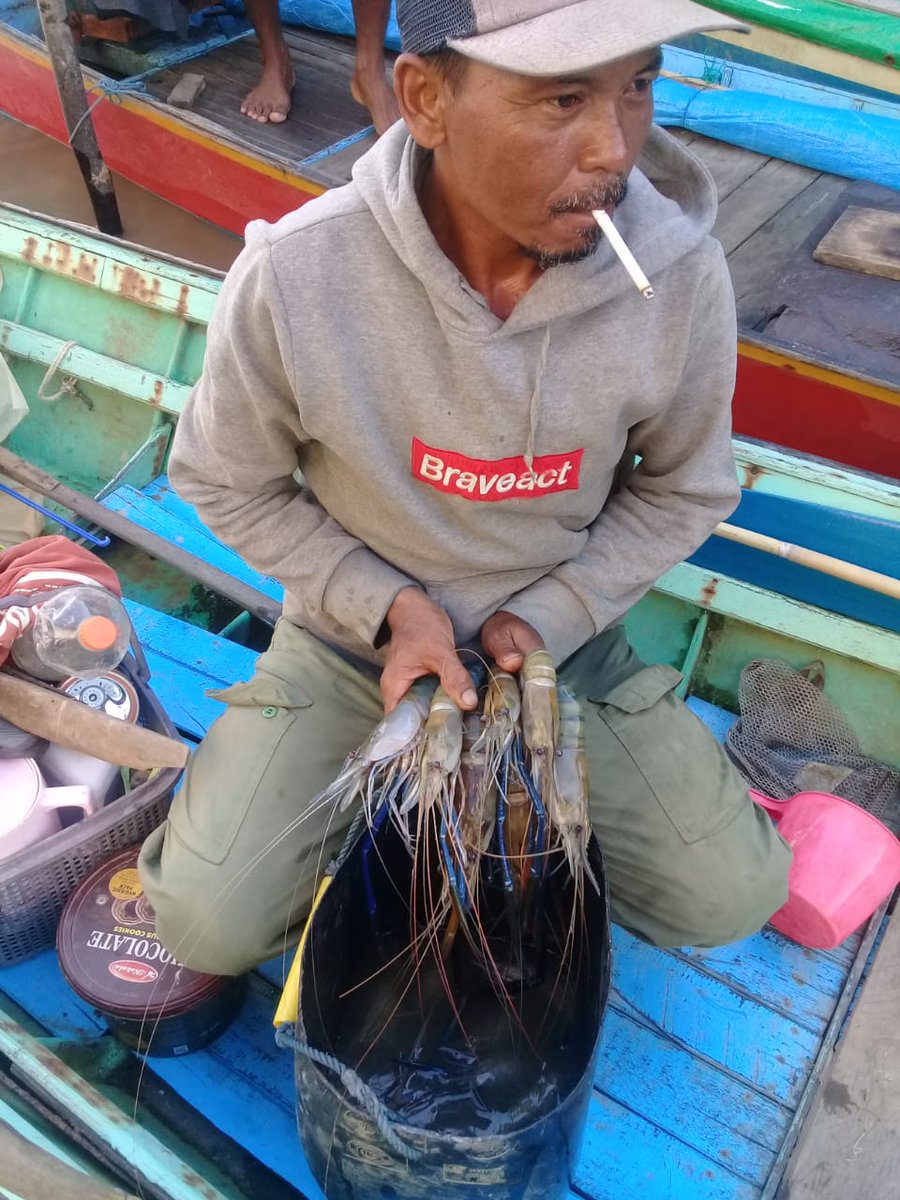 Erwansa7's tweet photo. Senin (13/9), Erwansa, Luhkan Kutai Kartanegara, di KUB JB Maju Bersama desa Muara Pantuan, melaporkan hasil tangkapan udang galah, alat tangkap bubu, sebanyak 11,3 kg,  harga Rp. 115.000/kg.
#GiatLuhkanSatminkalTegal 
#Luhlapor
#Kukar
#tangkap https://t.co/tvUSYtaxV3