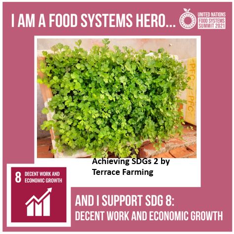 vijuevs's tweet photo. #FoodSystems4SDGs https://t.co/zqIyRjaxxD